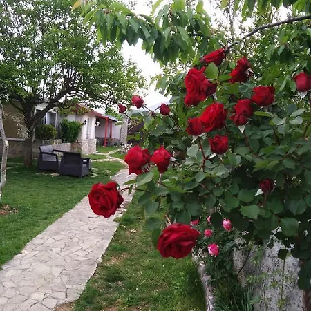 Ema Apartman